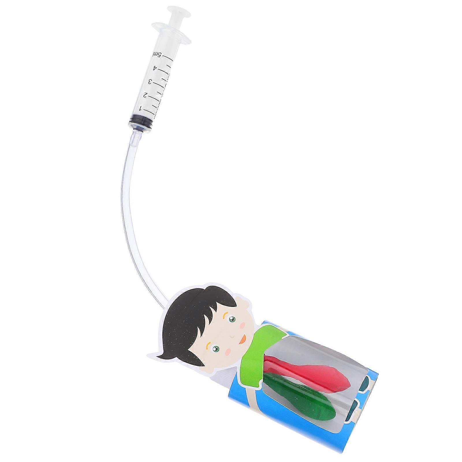 Lung Breathing Anatomy Tool for Diaphragm Movement Study