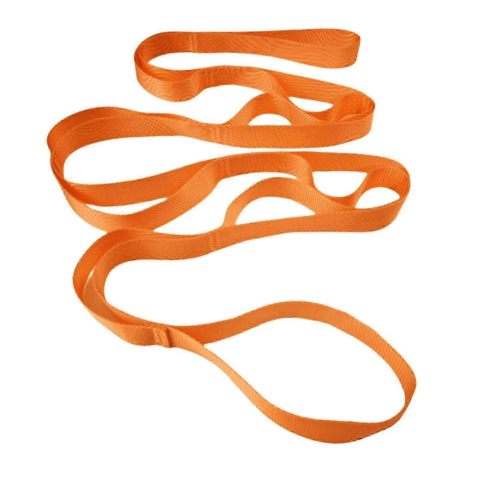 Light Blue 10-Loop Yoga Stretching Strap for Physical Therapy