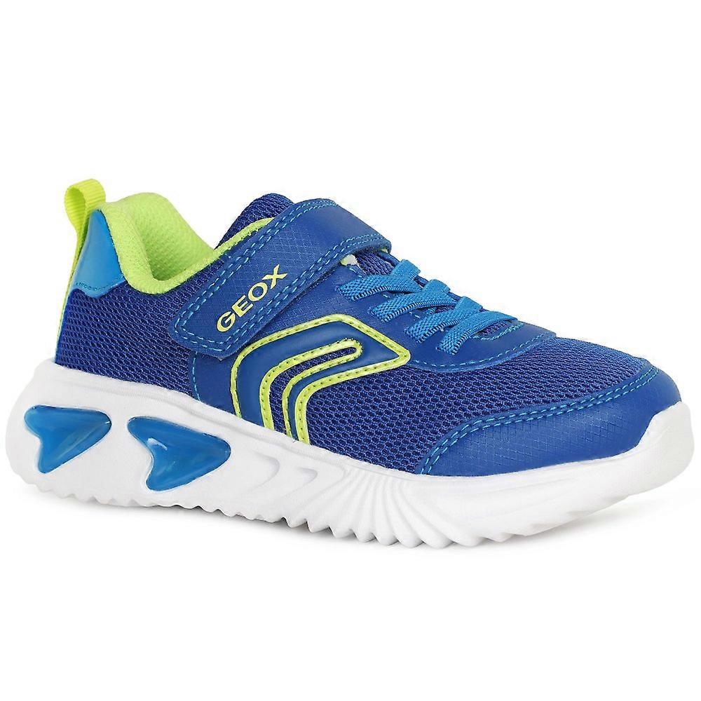 Geox Junior Assisiter Kinder Turnschuhe