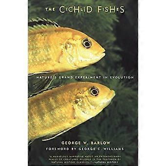 Den cichlid fisker: natur ' s Grand eksperiment i Evolution