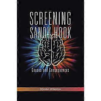 Screening af Sandy Hook: Årsager og konsekvenser