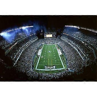 Lincoln Financial Field Stress Reliever Puzzel V0456
