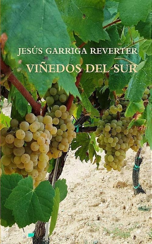 Viedos Del Sur