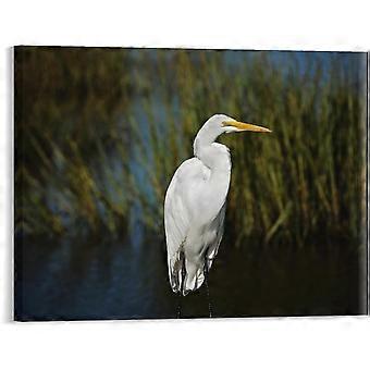 Water Bird Animal Lake Jigsaw Puzzle VV673
