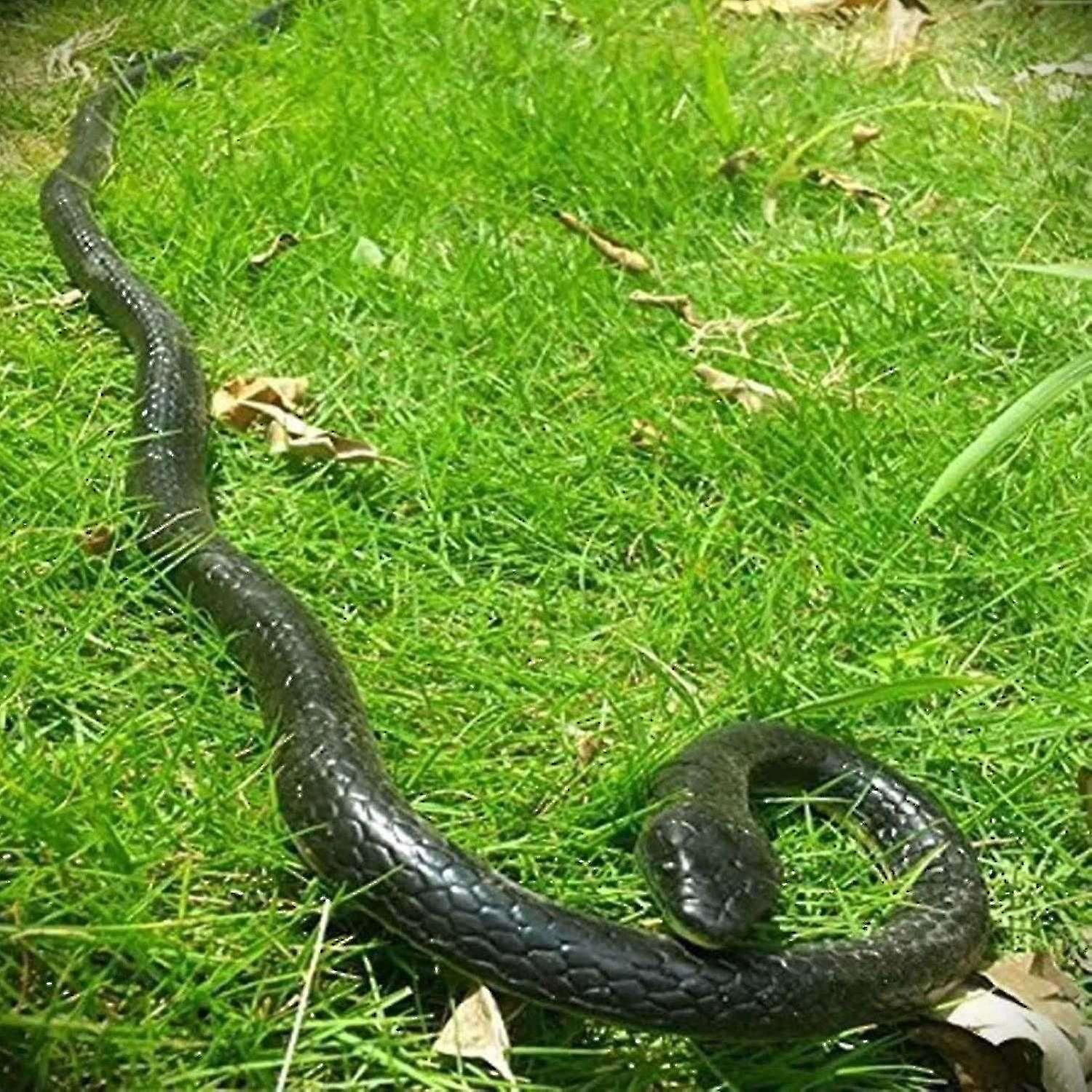 47 Inch Rubber Realistic Snake Gag Bio Chain Snake Rainforest Snake Toy Snake