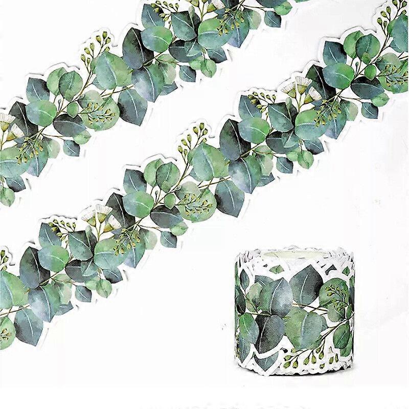 Greenery Eucalyptus Border Bulletin Board, Display Borders for Classrooms