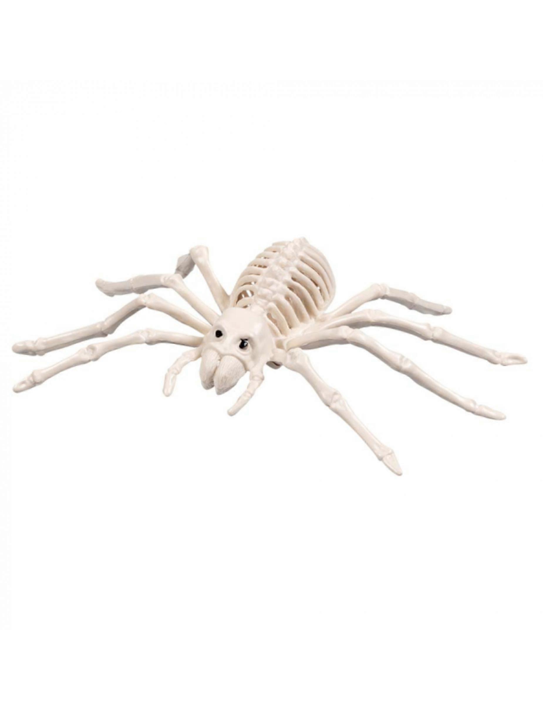 Skeleton spider 35 cm