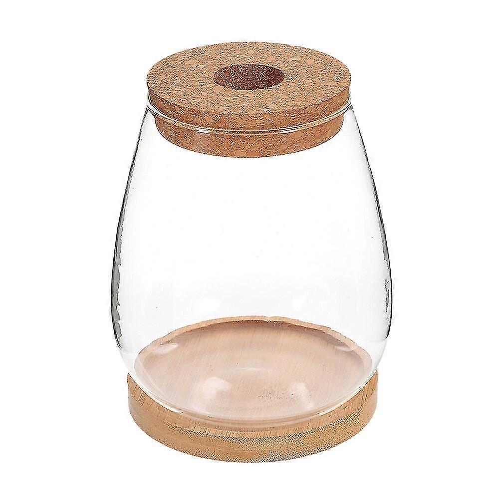 1 Set Växtterrarium Hydroponisk Växtplanterare DIY Landskap Flaska Skrivbordsväxthållare