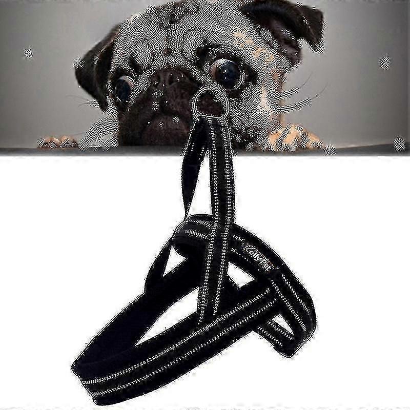 Guinzaglio e imbracatura per cani di grossa taglia, con catena di sicurezza e corda, in poliestere riflettente A7