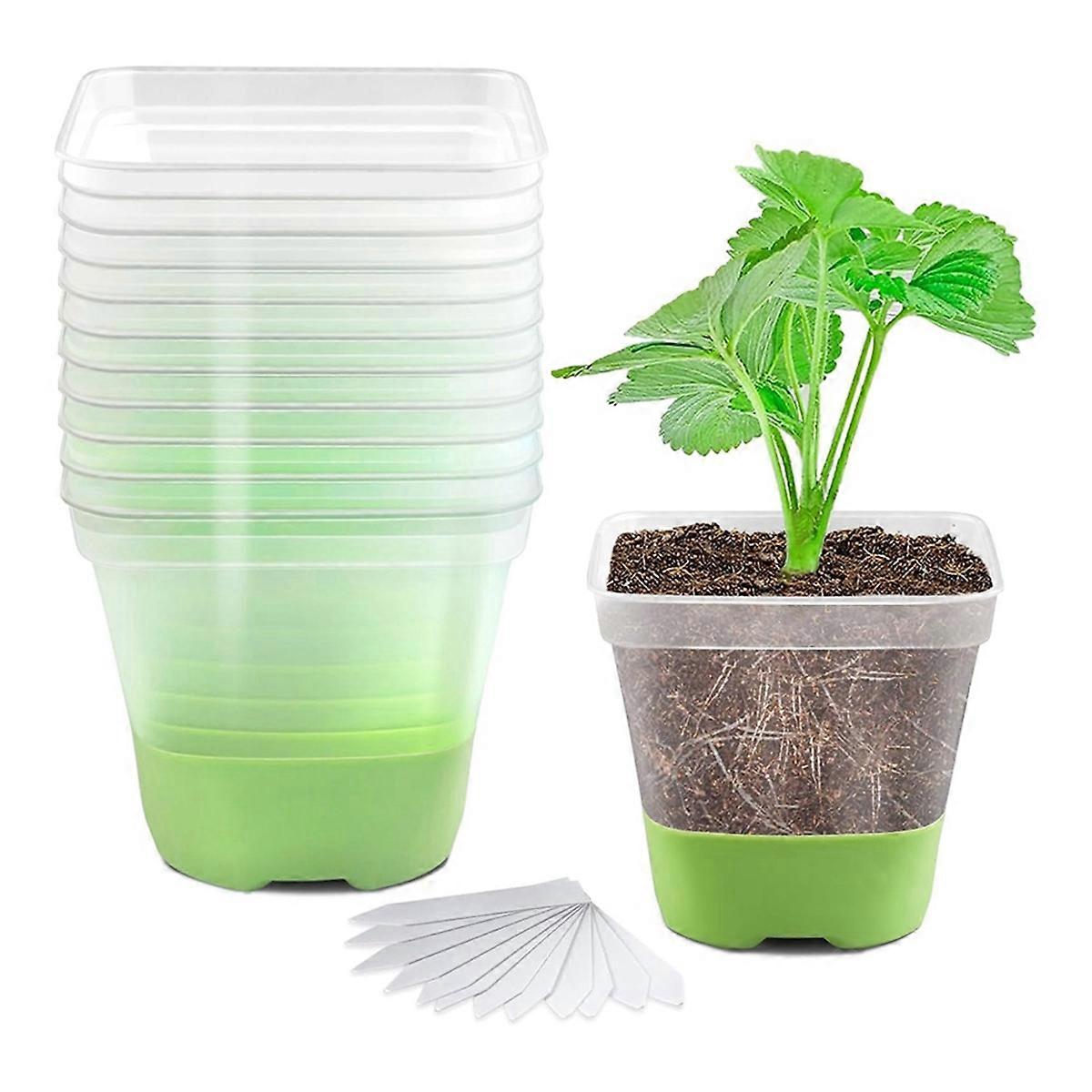 12 Packs 3 Inch Square Plastic Nursery Pots, Clear Plant Pot with Soft Silicone Base for Easy Trans