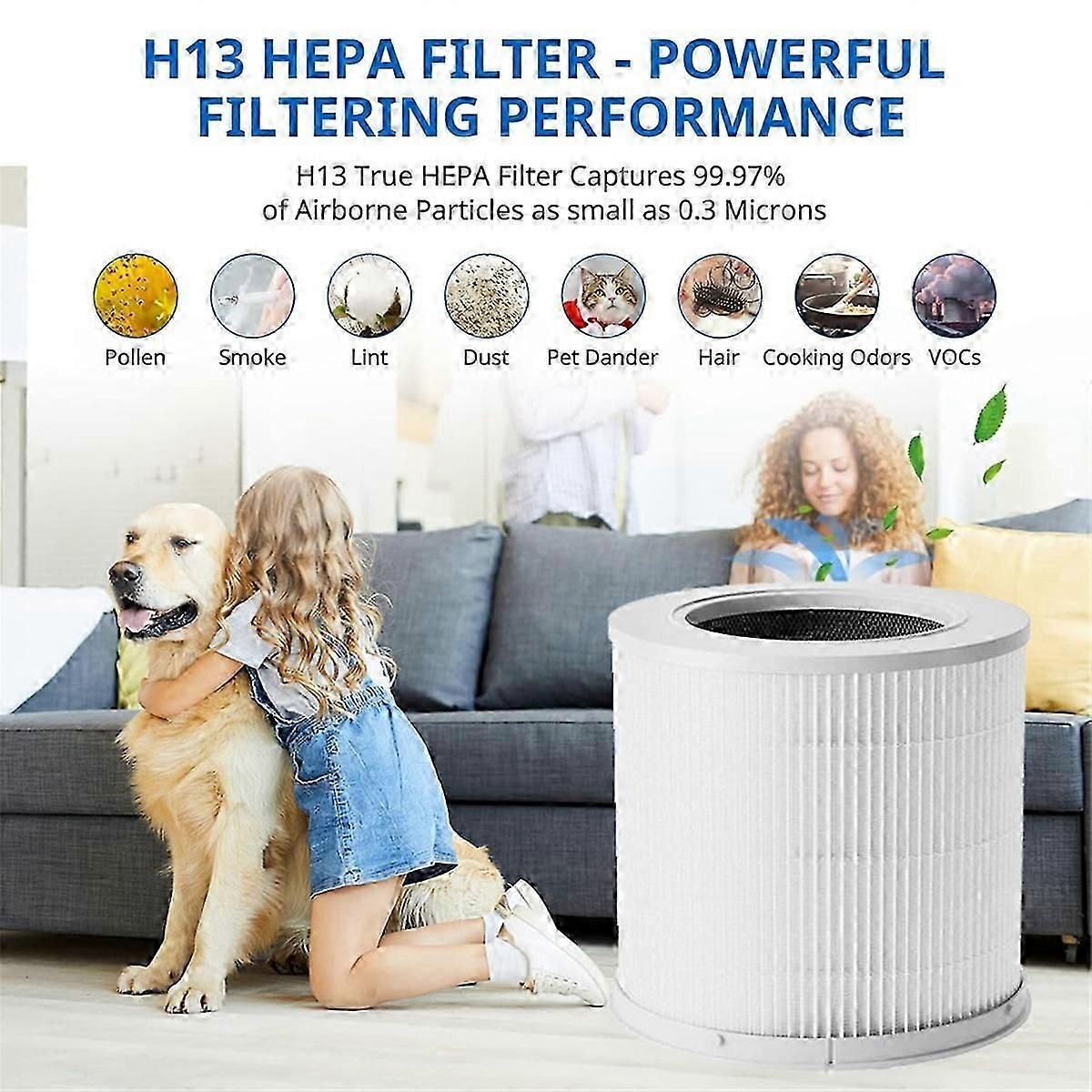 Luftrenserfilter for med aktivt karbonfilter