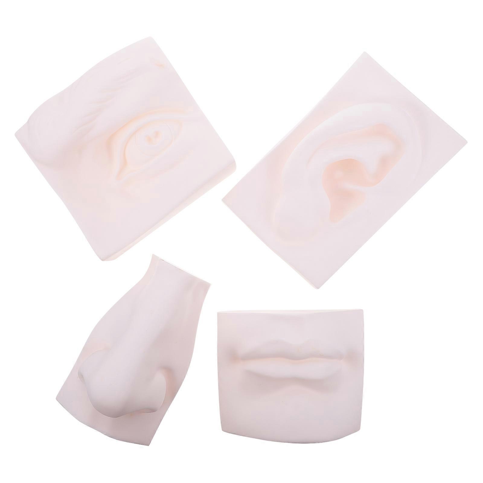 1Pc Portable Art Model for Sketching and Sculpture School Painting Sense Organ Models