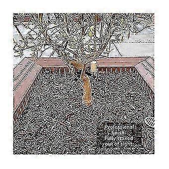 2025 And Supports Tree Stakes Tree Stakes For Young Trees Tree Straightening Kit With 3 Tree Straps T