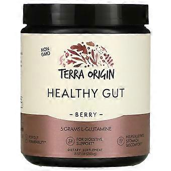 Terra Origin, Healthy Gut™, Berry, 8.57 oz (243 g)