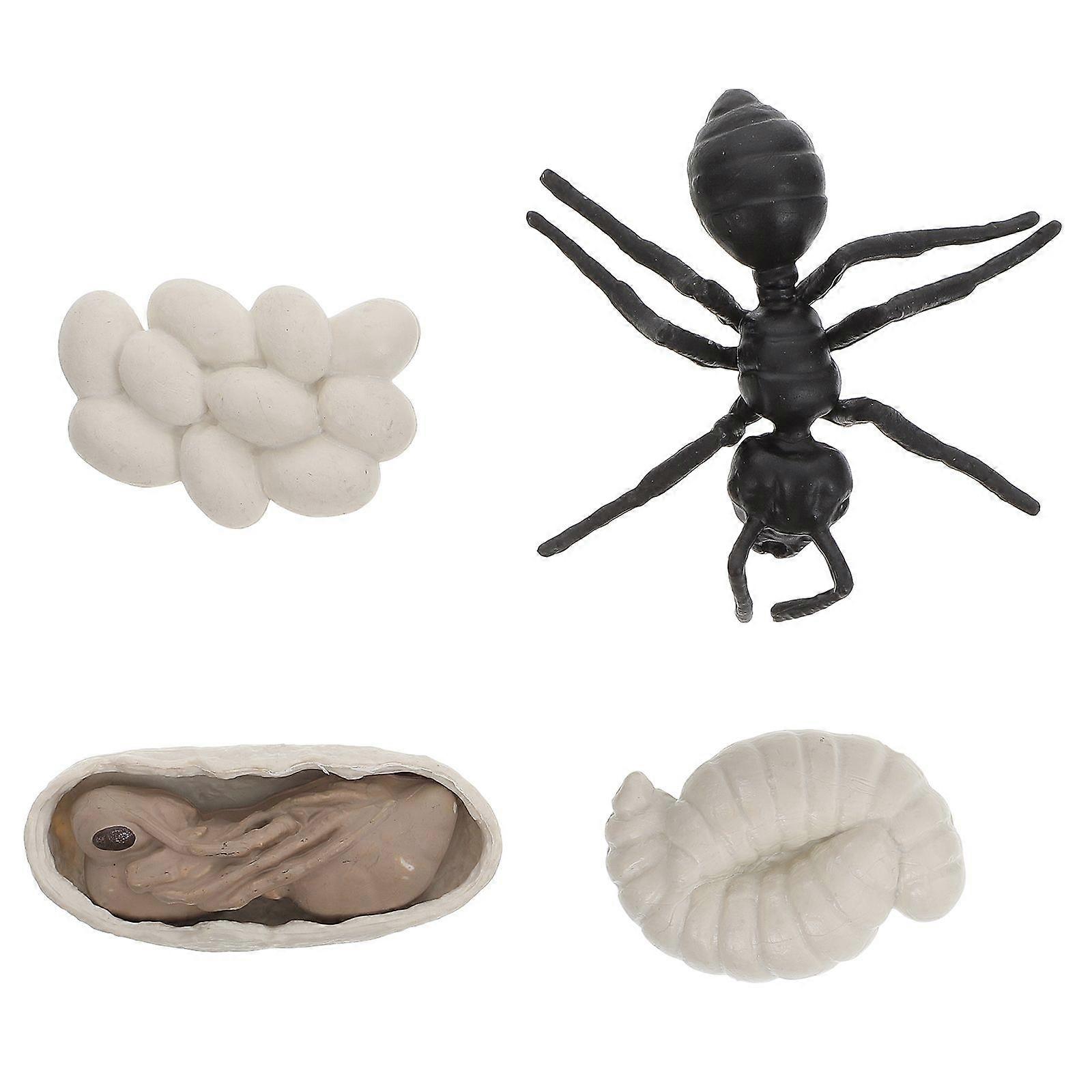 1 Set Vivid Simulation Worker Ants Evolution Models Plastic Worker Ants Cognitive Toys