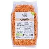 Organic red lentils 500 g