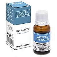 eucalyptus essential oil 12ml
