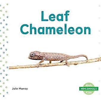 Camaleonte foglia (Mini animali)