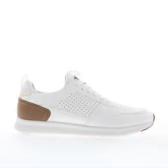 Steve Madden Sonny Lifestyle Sneaker für Herren