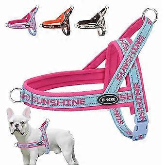 Hondentuigje/vest met borstband en wandelriem voor kleine en middelgrote honden, geschikt voor Corgi's, Teddyberen en Bearded Collies. Anti-trek huisdierbenodigdheden.