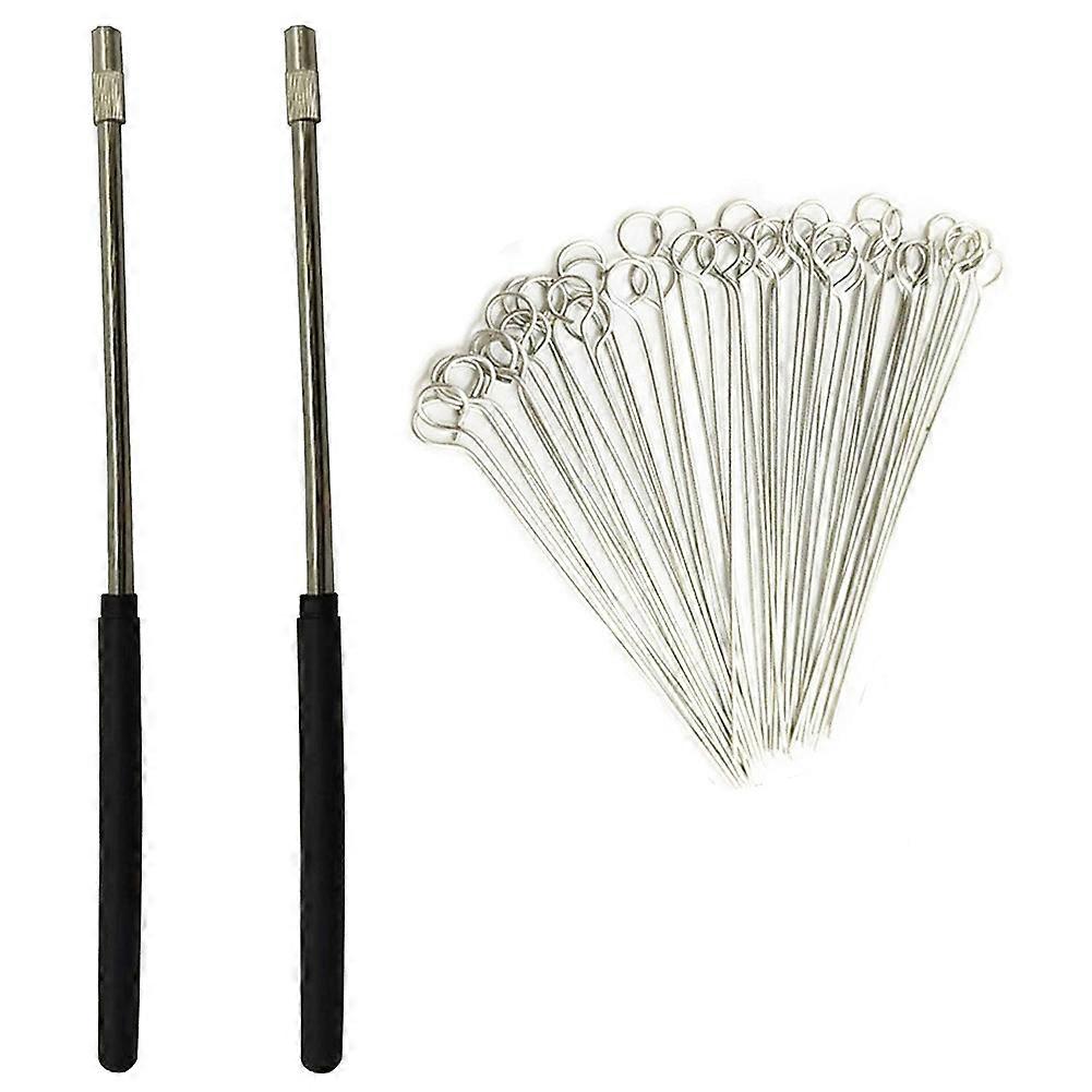 2PCS Reusable Inoculating Loop Holders with 50Pcs 10UL Nichrome Needle Tips Inoculation Loop for La