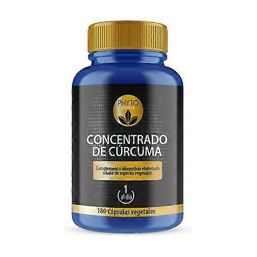 Turmeric concentrate 90 vegetable capsules