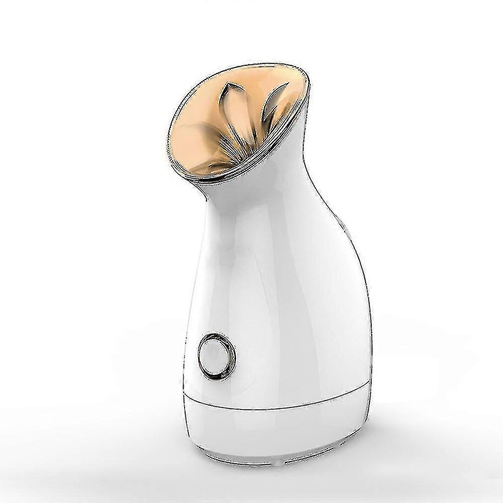 Face Steamer Professional, Nano Ionic Facial Steamer With Warm Mist