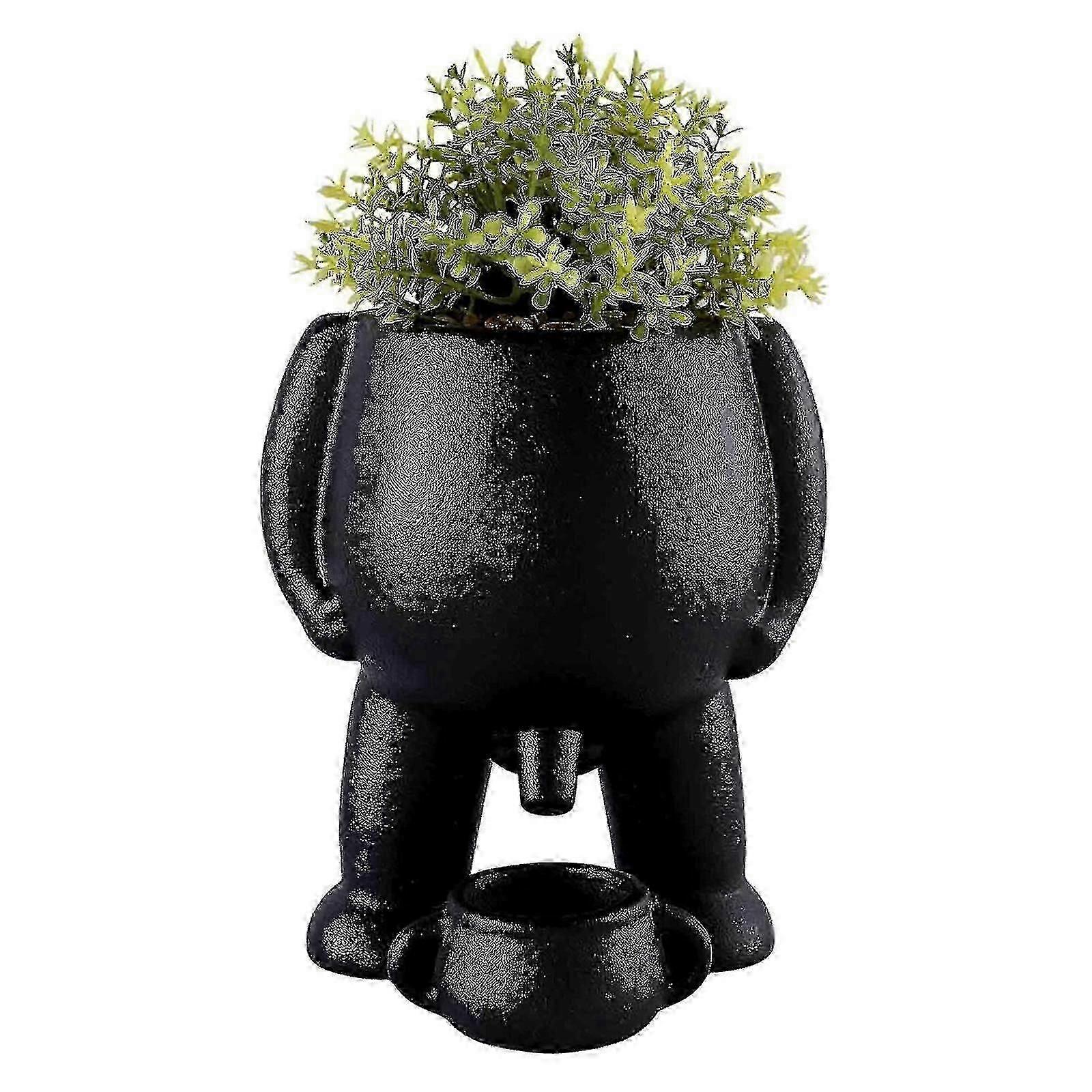 مضحك وعاء نباتات التبول ، زارع وعاء تبول للديكور المنزلي ، مزهرية زهور فريدة من نوعها