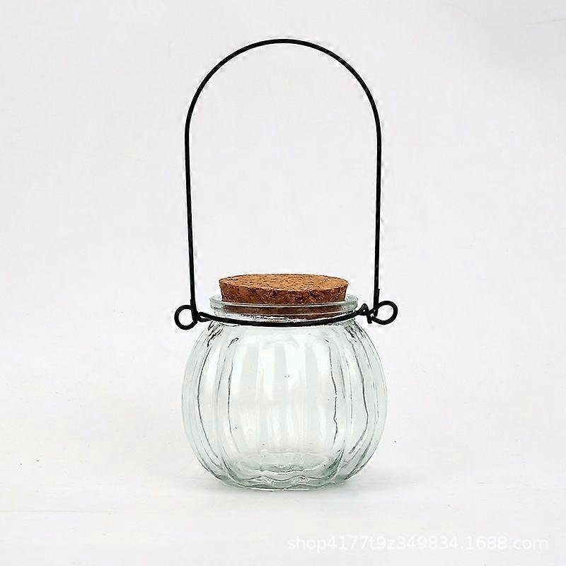 4pcs Hanging Glass Jar: Clear Glass Pumpkin Candy Jar with Cork - Hanging Planter Wishing Bottle - Airtight Storage Container for Cookie Candy