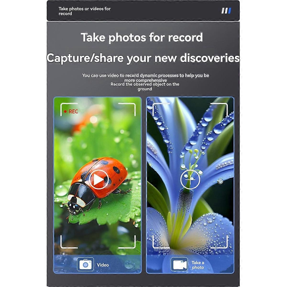 7inch Microscope Digital Coin Microscope Coin Magnifier with Lights HD Microscope for PCB, Coins, Pl