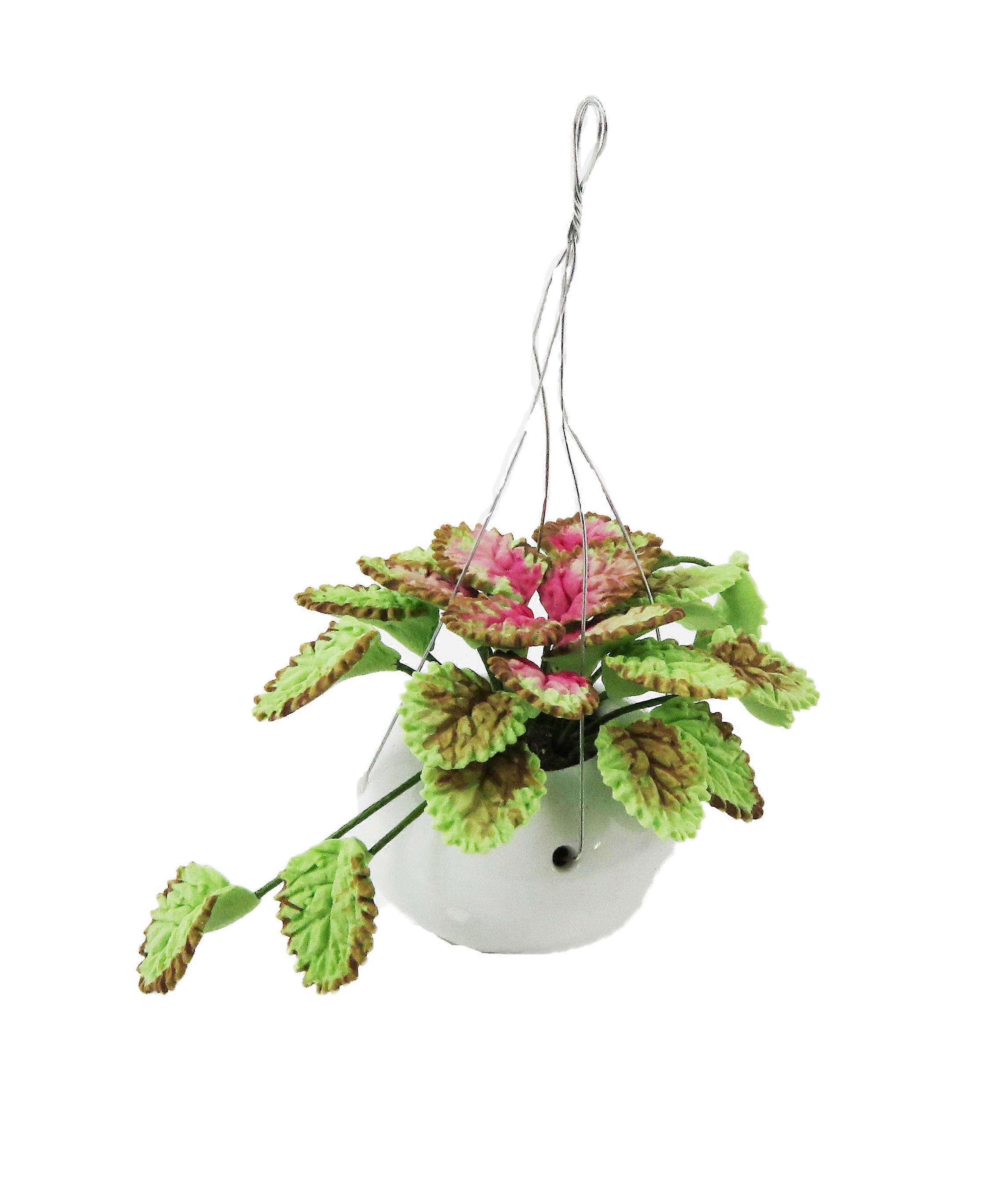 دمى البيت كالاديوم النبات في الأبيض شنقا سلة المنزل أو ملحق الحديقة