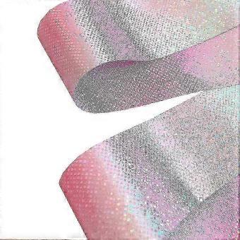 Gymnastics Rhythmic Dance Ribbons Streamers