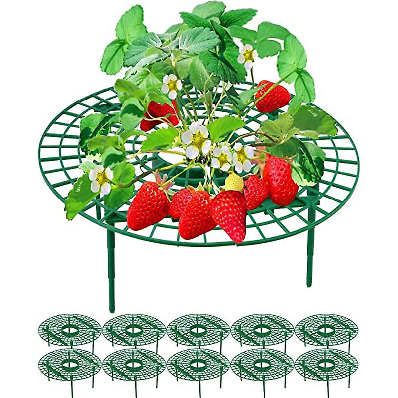 Strawberry Plant Support  Stand Growing Kit From Mold, Rot
