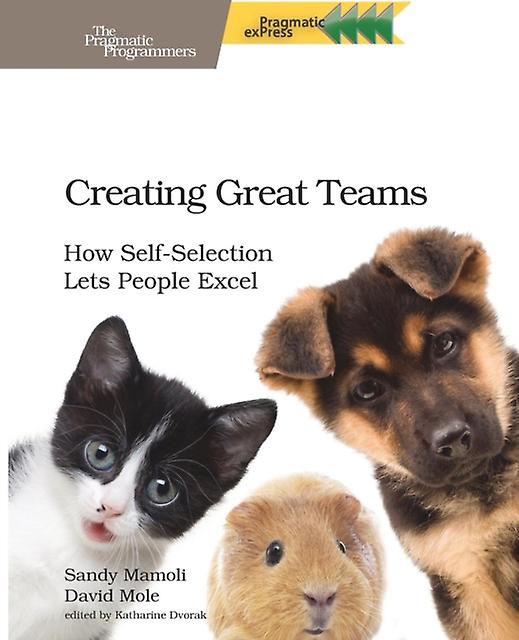 Creating Great Teams by Sandy Mamoli Paperback