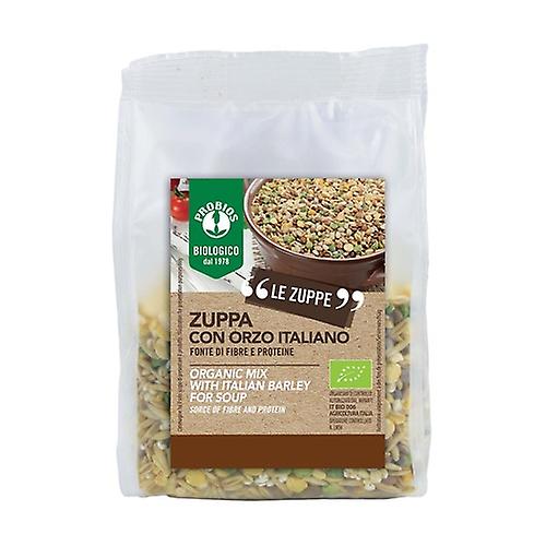 Barley soup 300 g