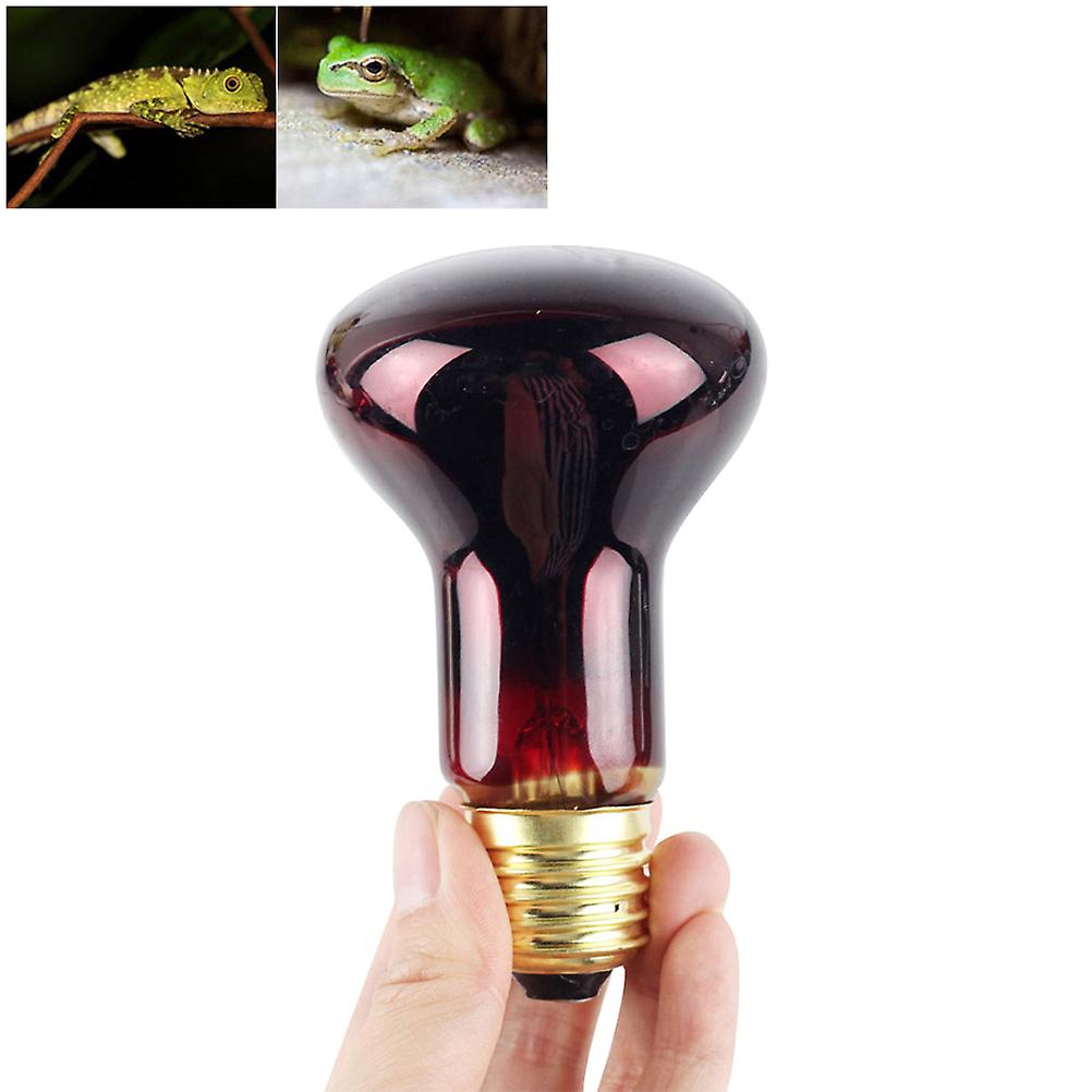 Lampe chauffante infrarouge 60 W, lumière rouge, en verre, pour lézards, reptiles et amphibiens
