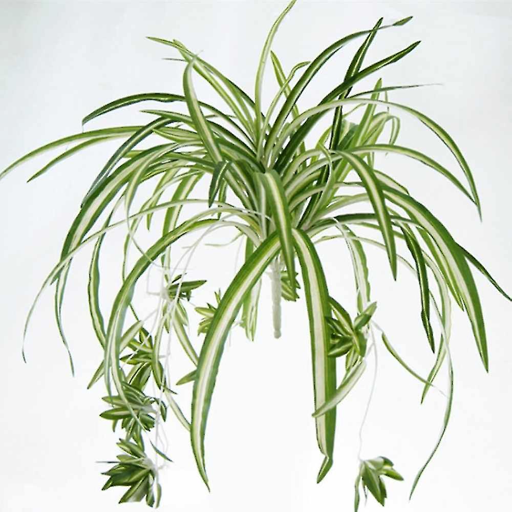 1 Strau Groe Gre Simulatio Chlorophytum Comosumn Pflanze Wanddekoration  Kunstpflanze 60cm-hao | Fruugo DE