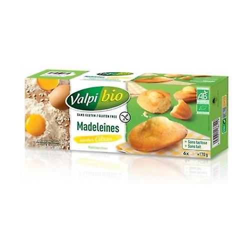 Organic lemon madeleines 6 units