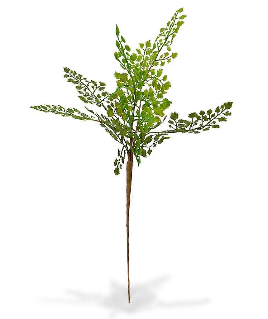 Adiantum branch (50 cm)