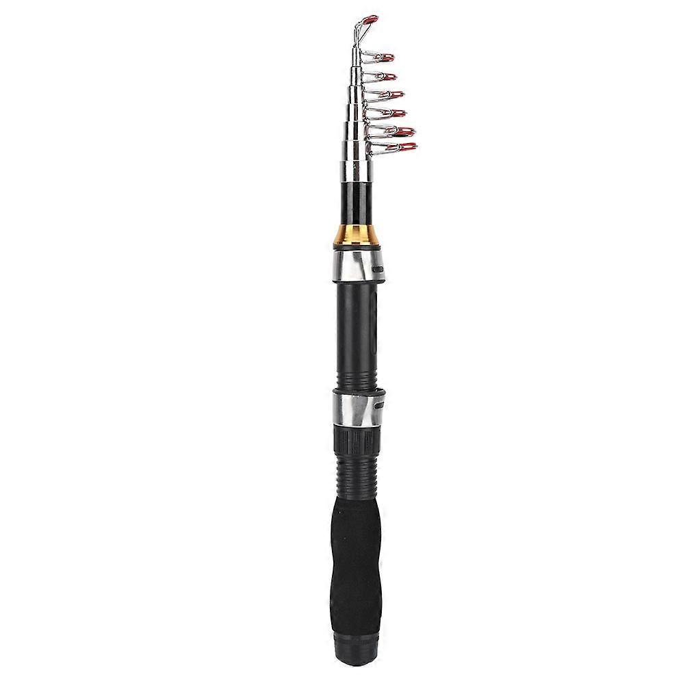 Canne à pêche sur glace portable, petite canne à pêche en mer, mini outils de pêche en mer 28049-100 (1,7 m)