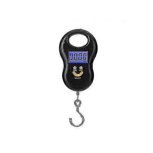 Portable Crane Scale