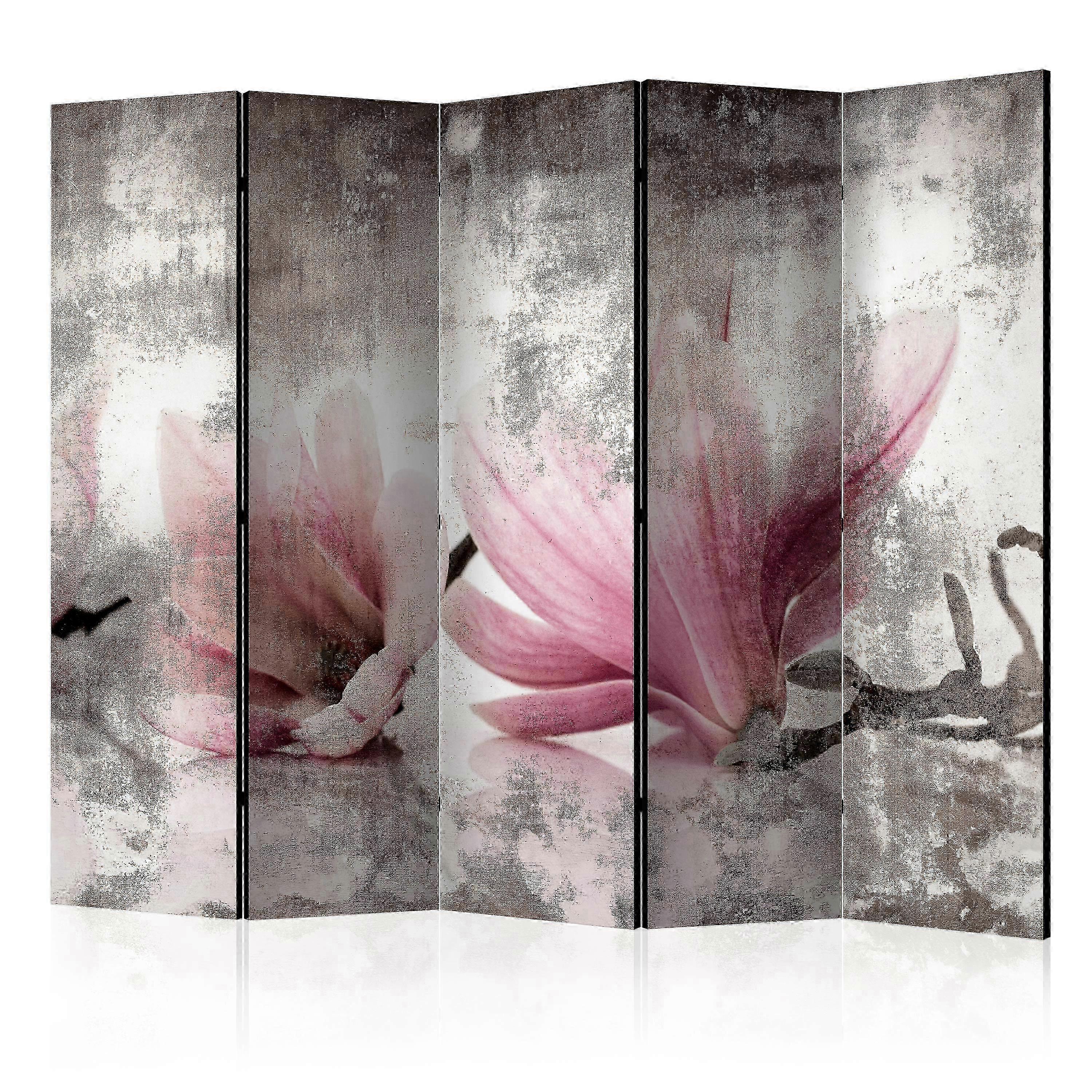 Divisorio - Magnolie storiche II