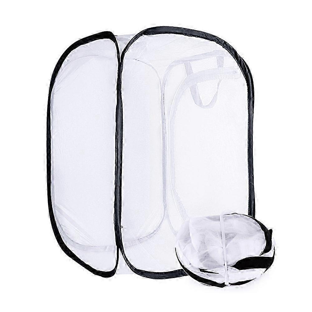 バタフライケージメッシュ昆虫蝶の生息地ケージアップフライネット科学子供のおもちゃ初期の教育玩具