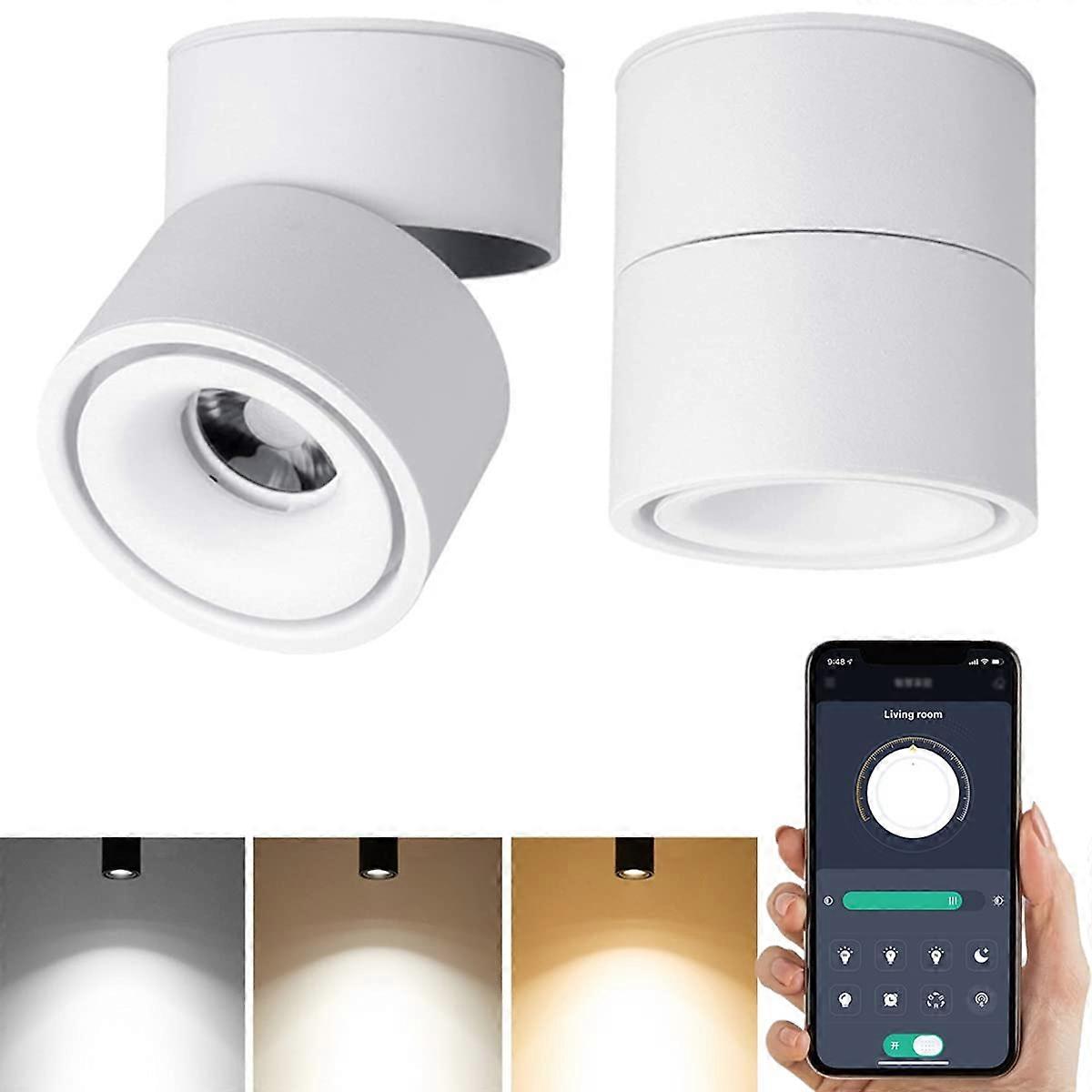 Smart LED Dimmable Ceiling Spotlight 360 Degree Adjustable Indoor Surface Mounted 10W COB Stepless Dimming 3000K-6000K
