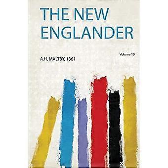 New Englander