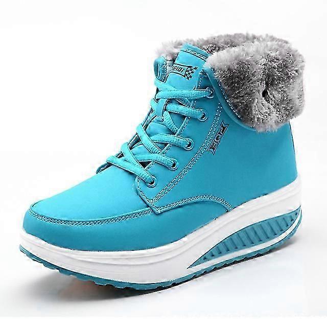 Plush Warm Winter Boots Women's Platform Boots Ankle Swing Shoes