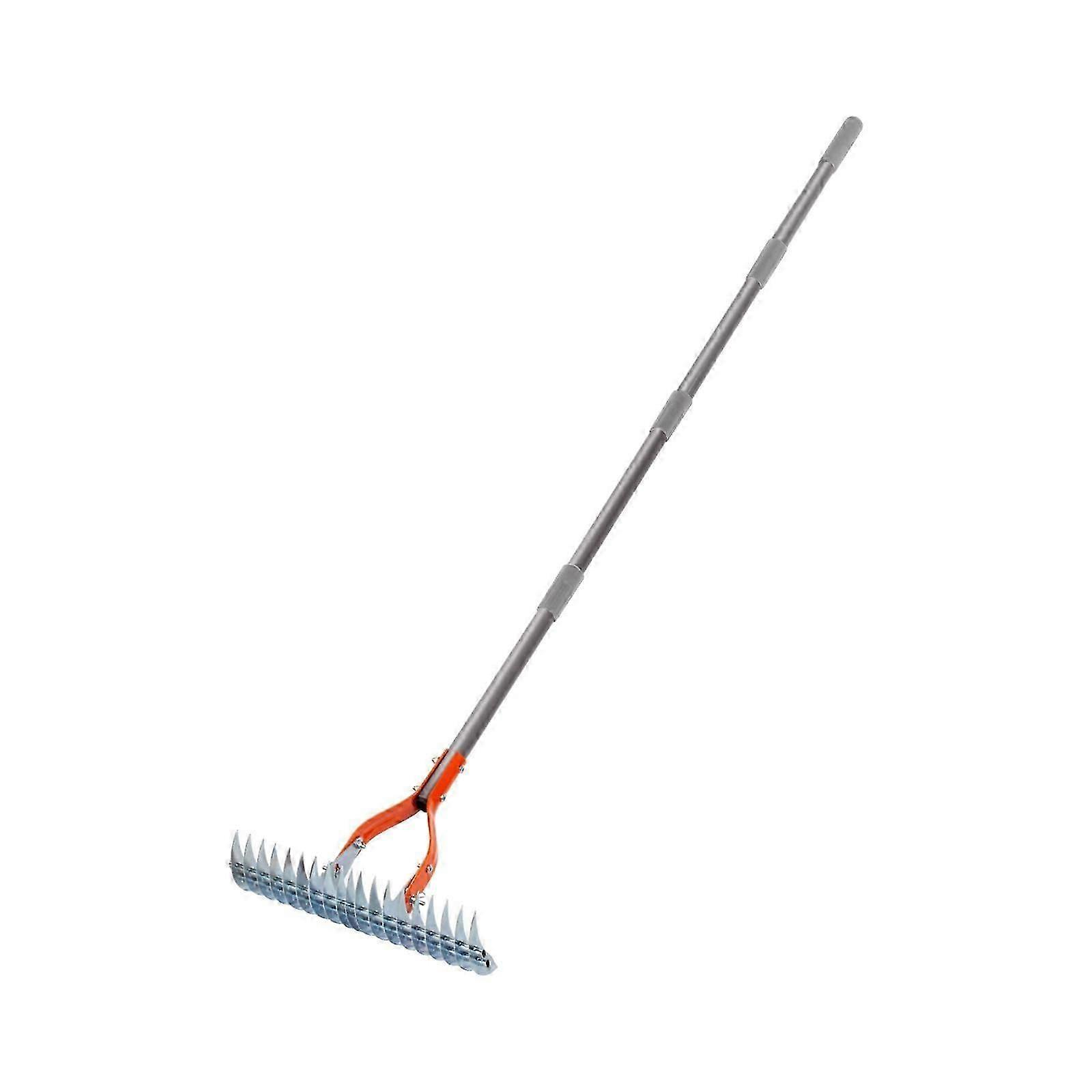 Thatch Rake Lawn Hay Rake for Cleaning Grass Dethatching Lawn Grass Grooming