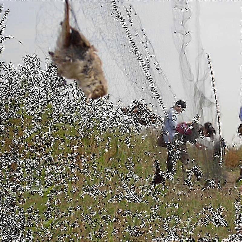 Bird Catcher Net Pond Net Fishing Net Crops Fruit Tree Vegetables Flower Happy H