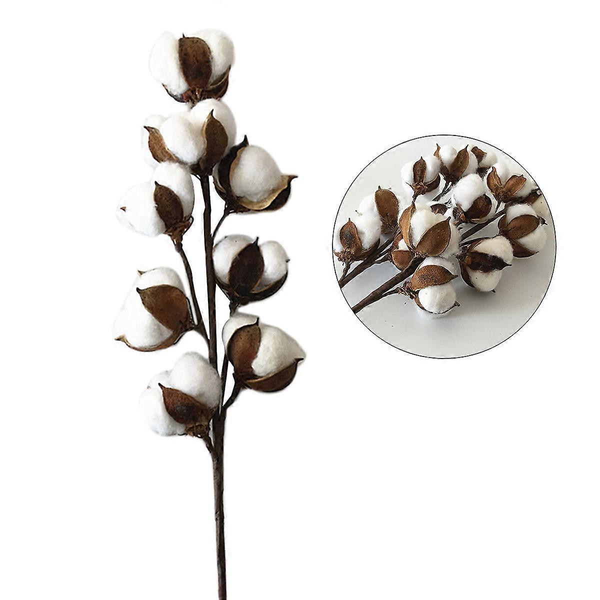 Flori artificiale Tulpini de bumbac Ramură lungă Rustic Fermă Stil Decor de nuntă 56cm Multi 1Pack