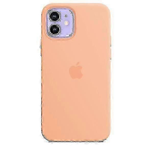Silicone Case With Magsafe For Iphone 12 12 Pro